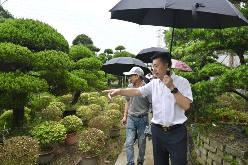 黃悌敏局長(zhǎng)調(diào)研園博園植物本土苗源工作